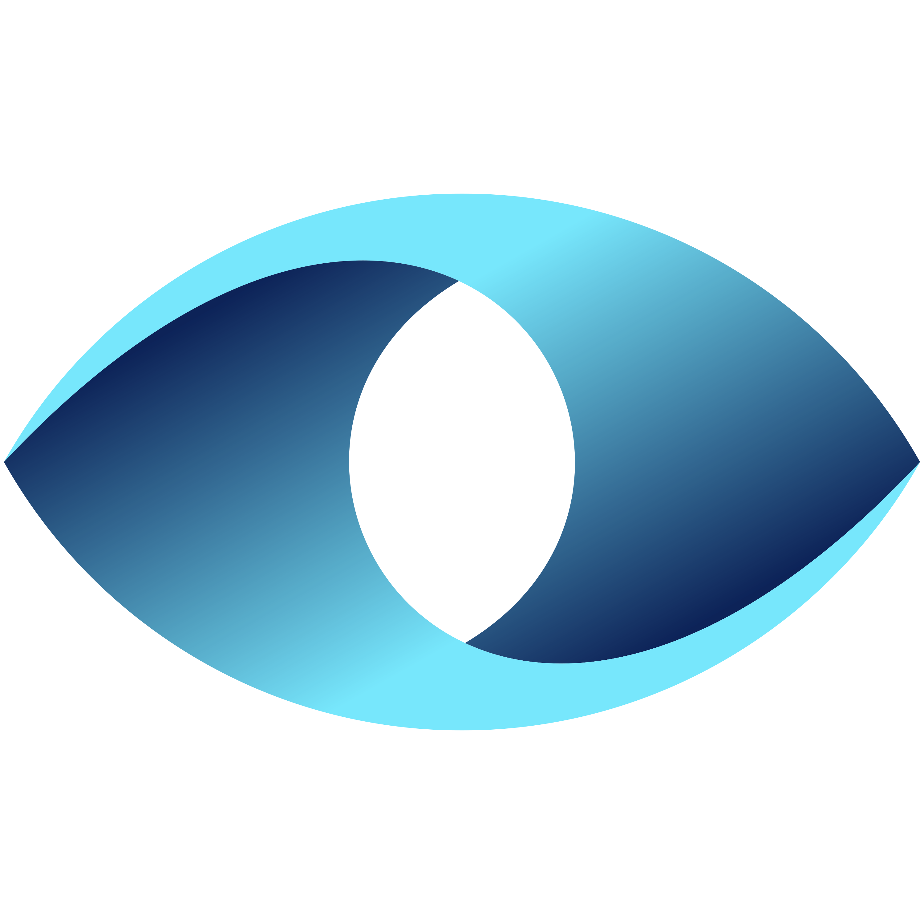 App Firewall Network Monitor logo