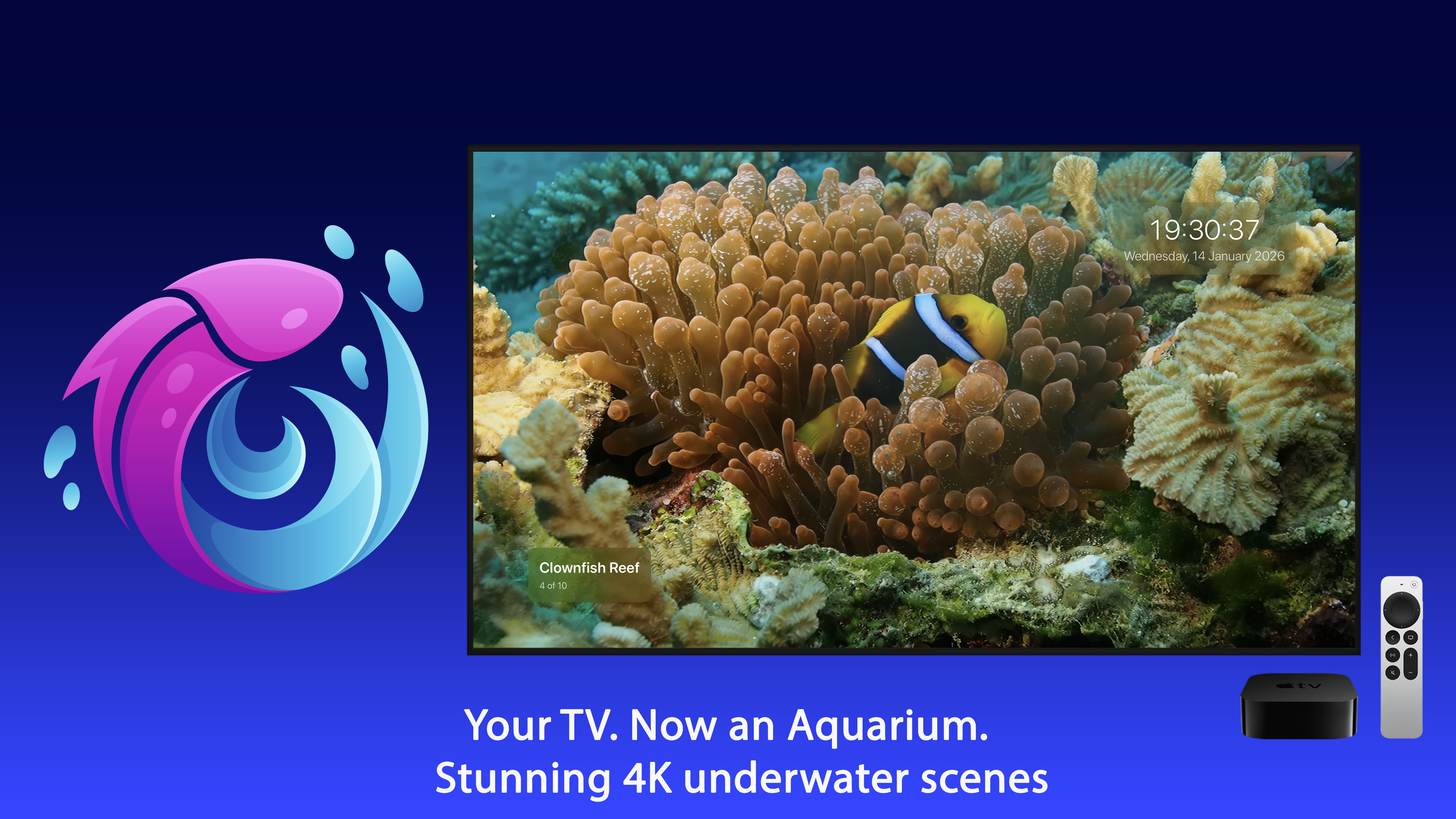 Live Aquarium Apple TV screenshot 1
