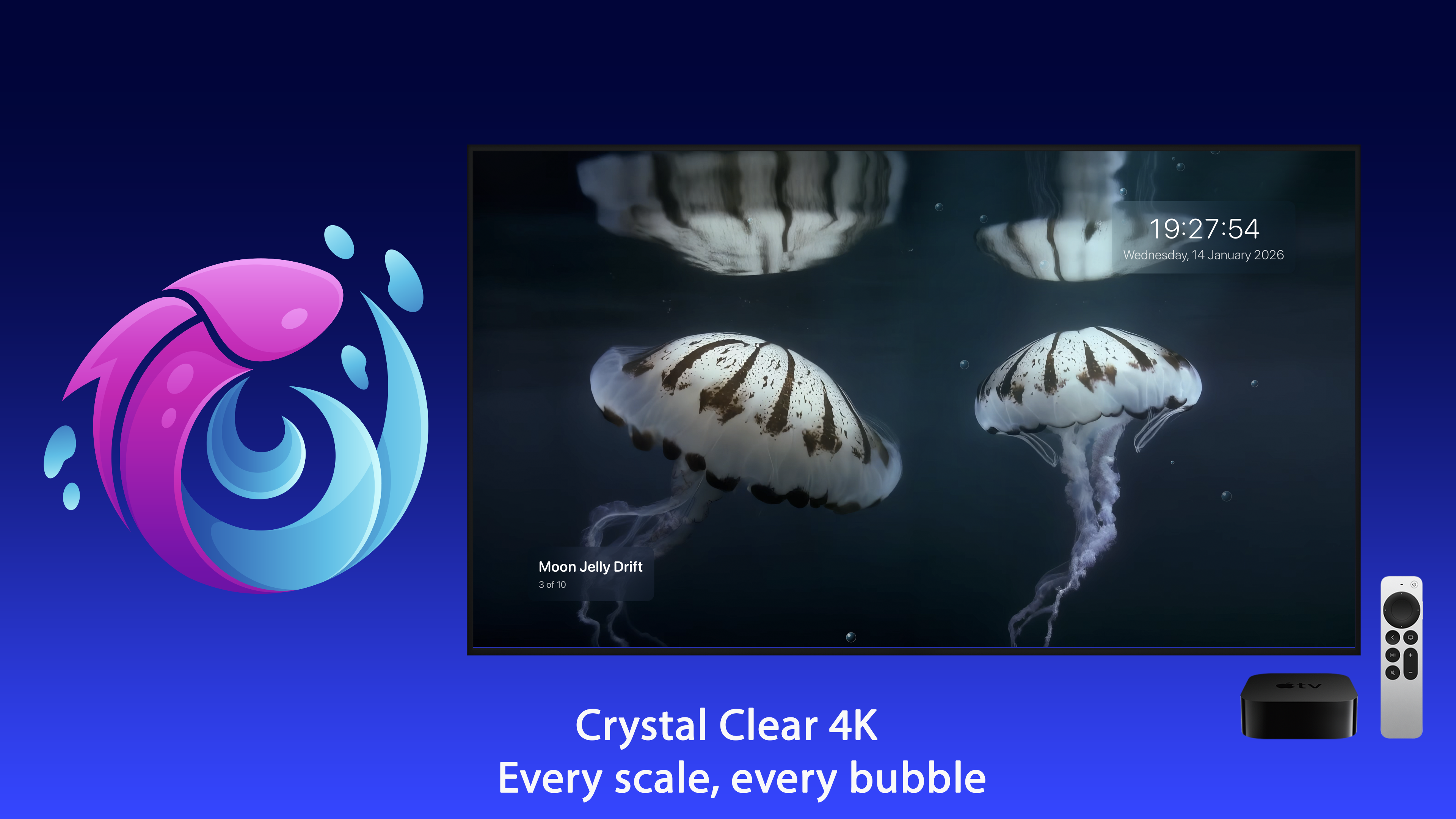 Live Aquarium Apple TV screenshot 2