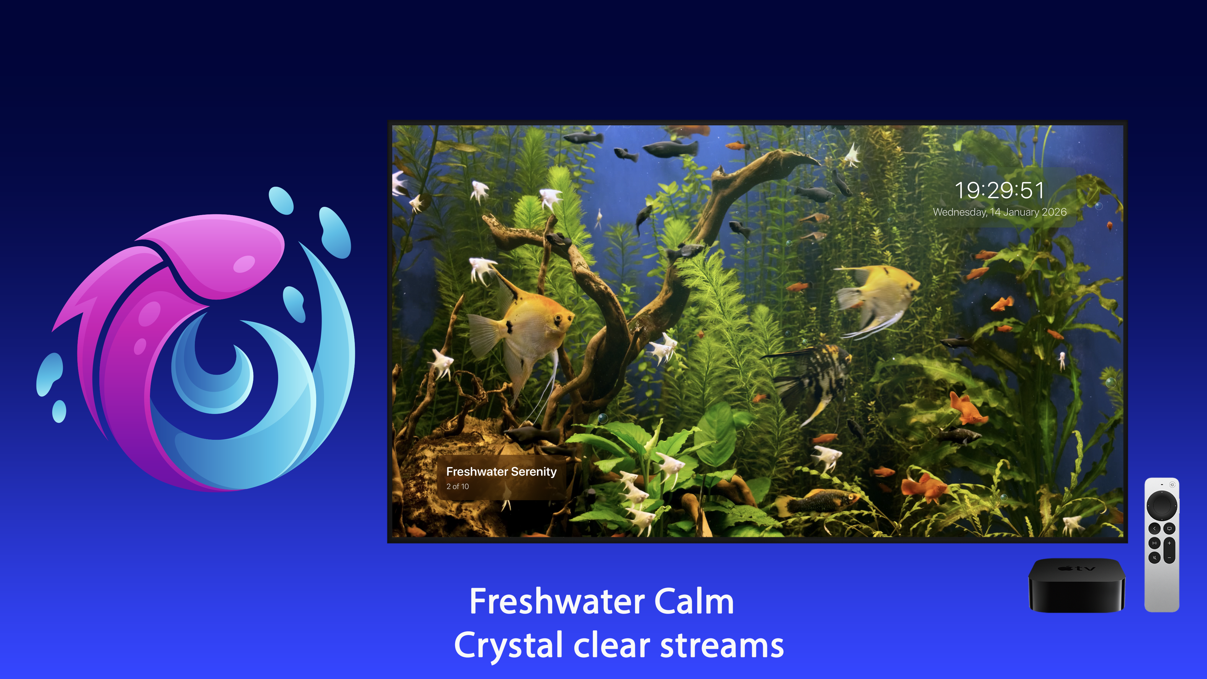 Live Aquarium Apple TV screenshot 4