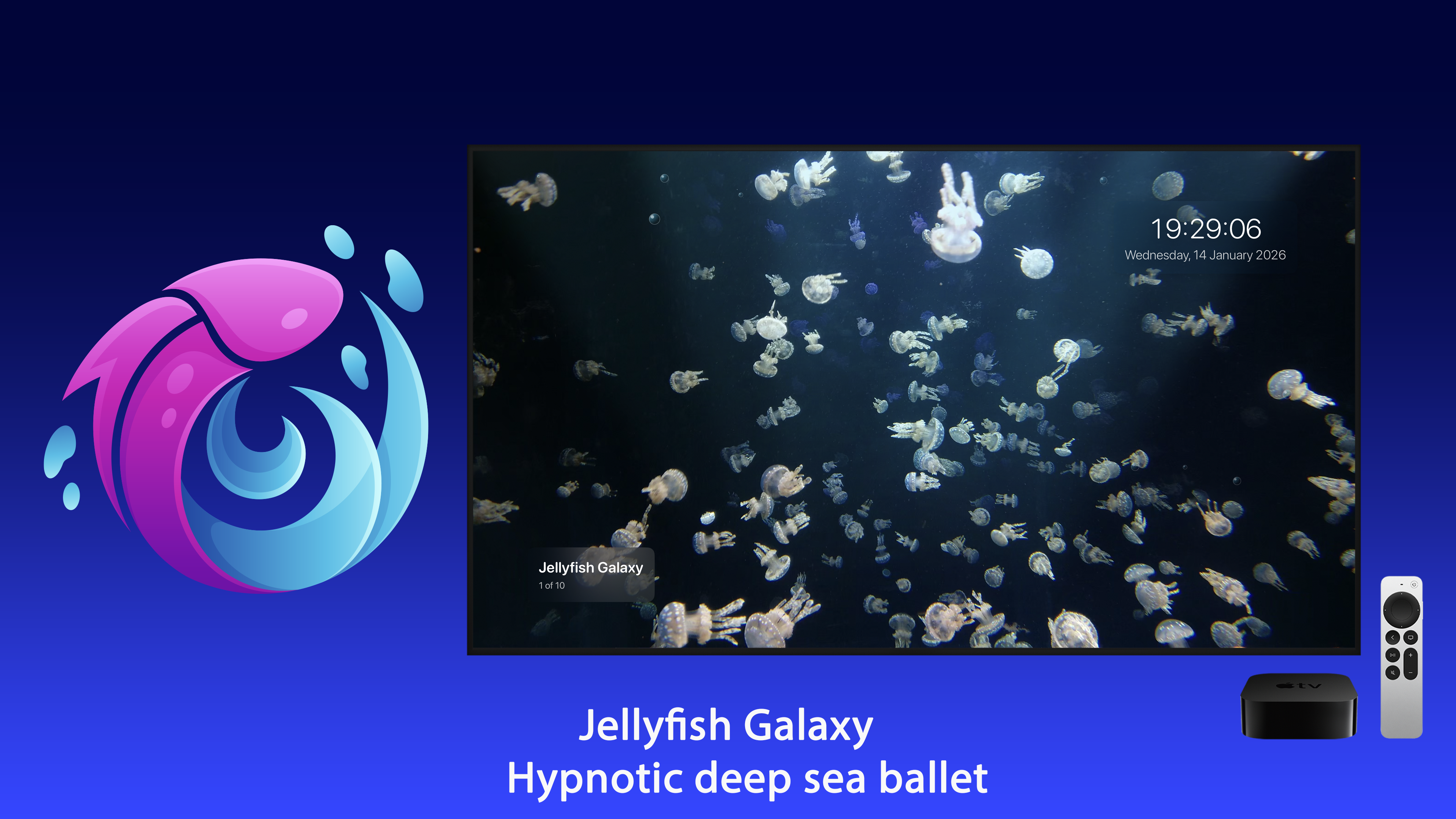 Live Aquarium Apple TV screenshot 6