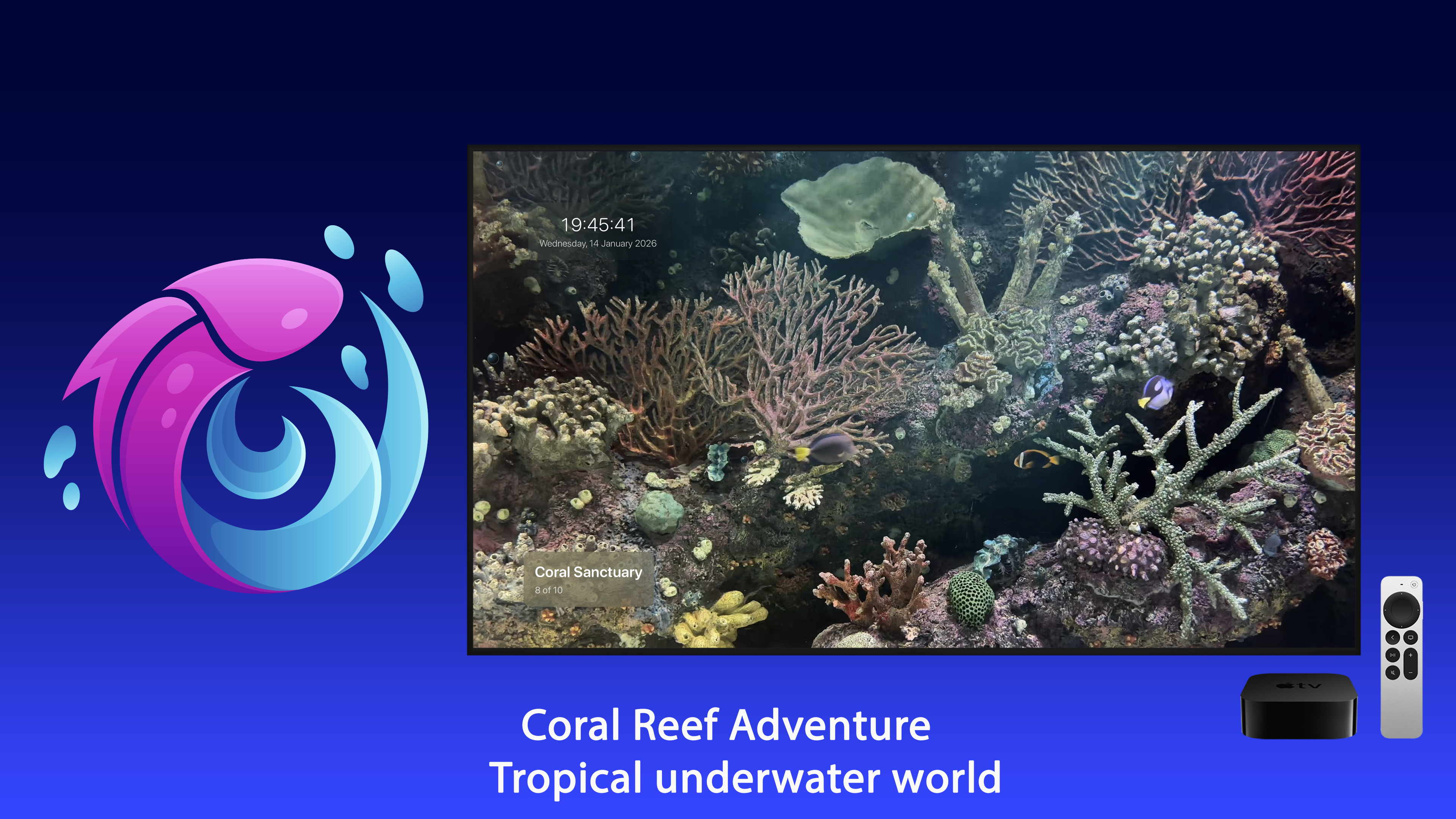 Live Aquarium Apple TV screenshot 8