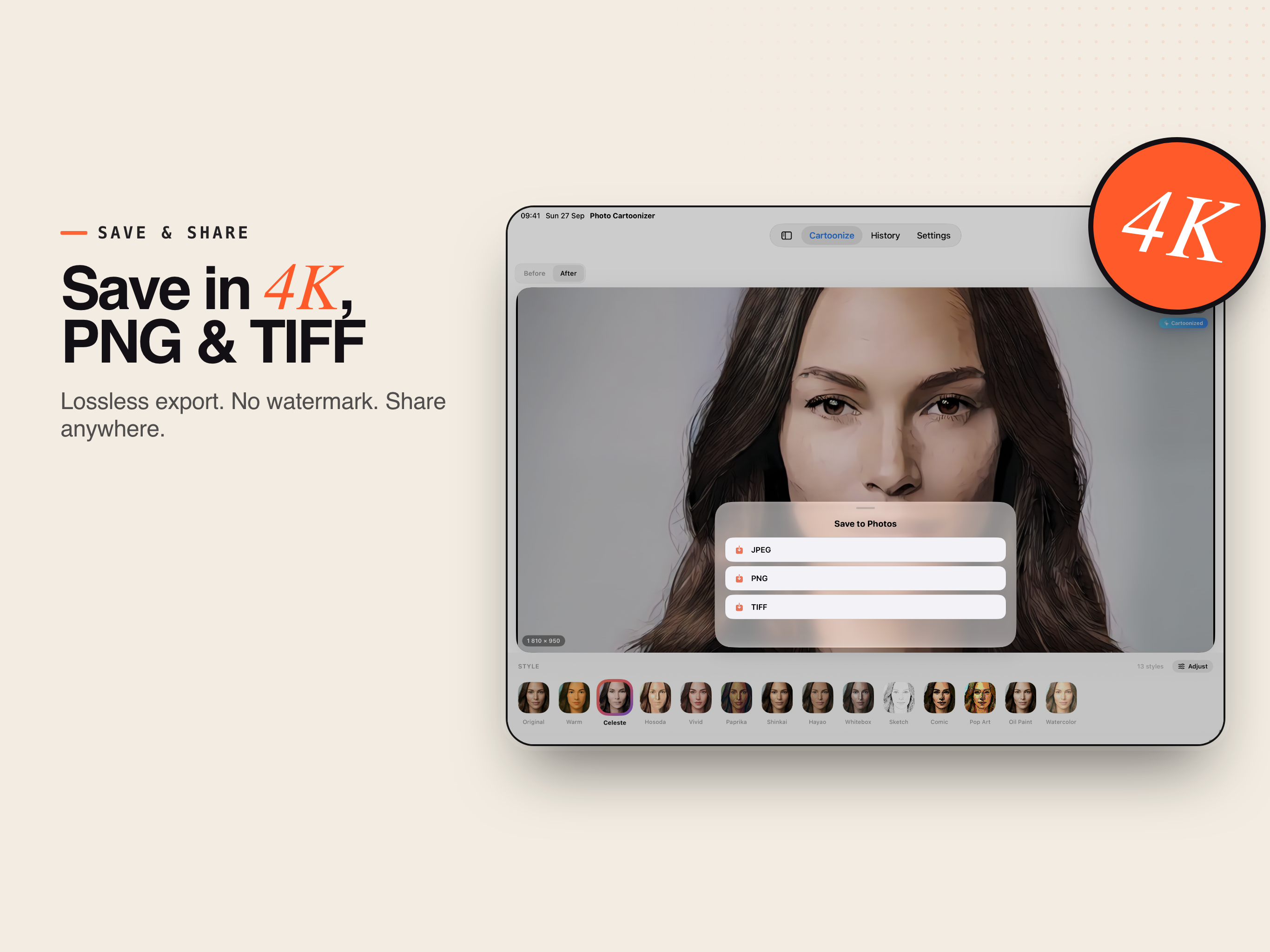 Photo Cartoonizer on iPad: saving the result in 4K as JPEG, PNG or TIFF