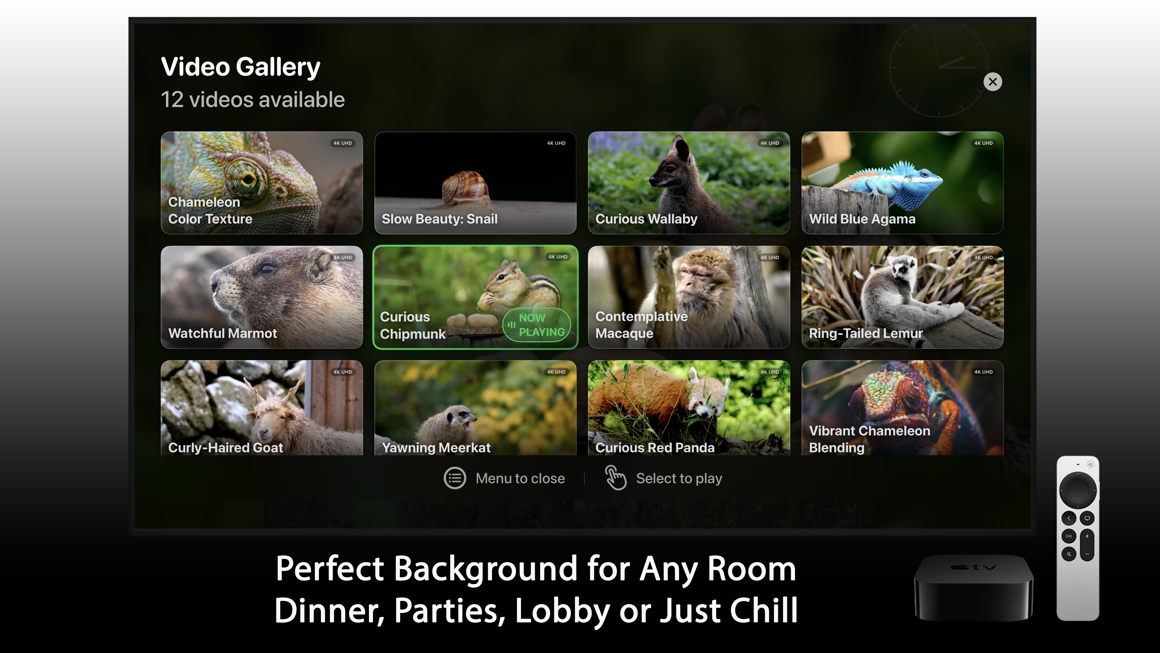 Exotic Animals Apple TV screenshot 3
