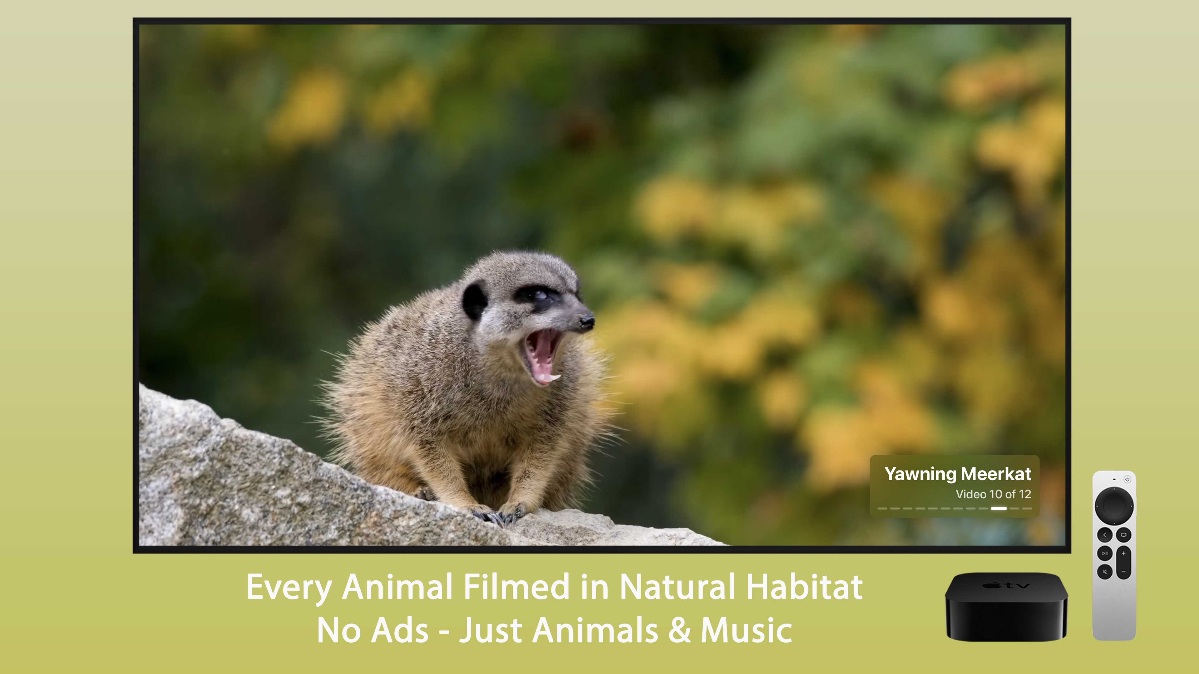 Exotic Animals Apple TV screenshot 5