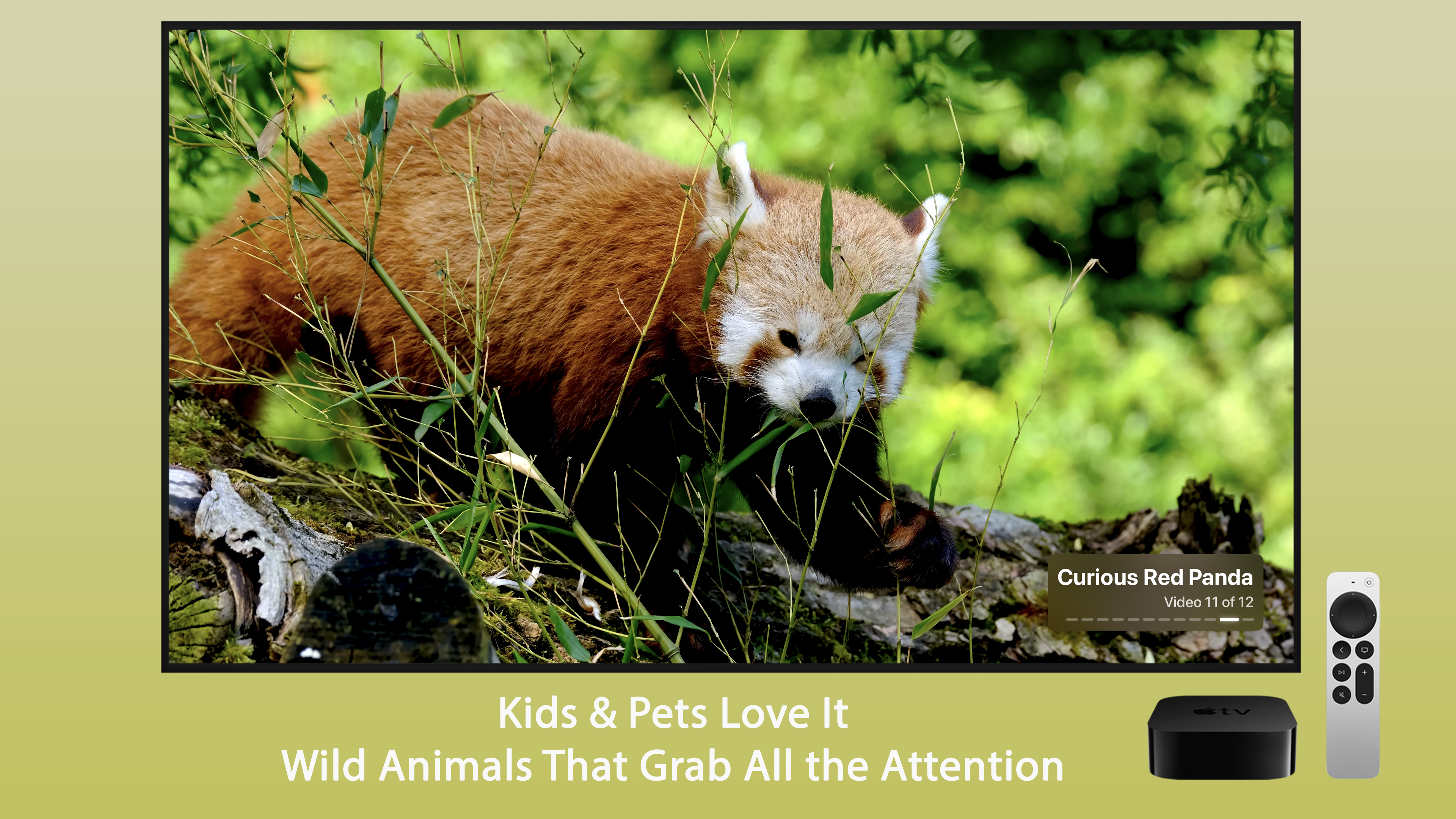 Exotic Animals Apple TV screenshot 6