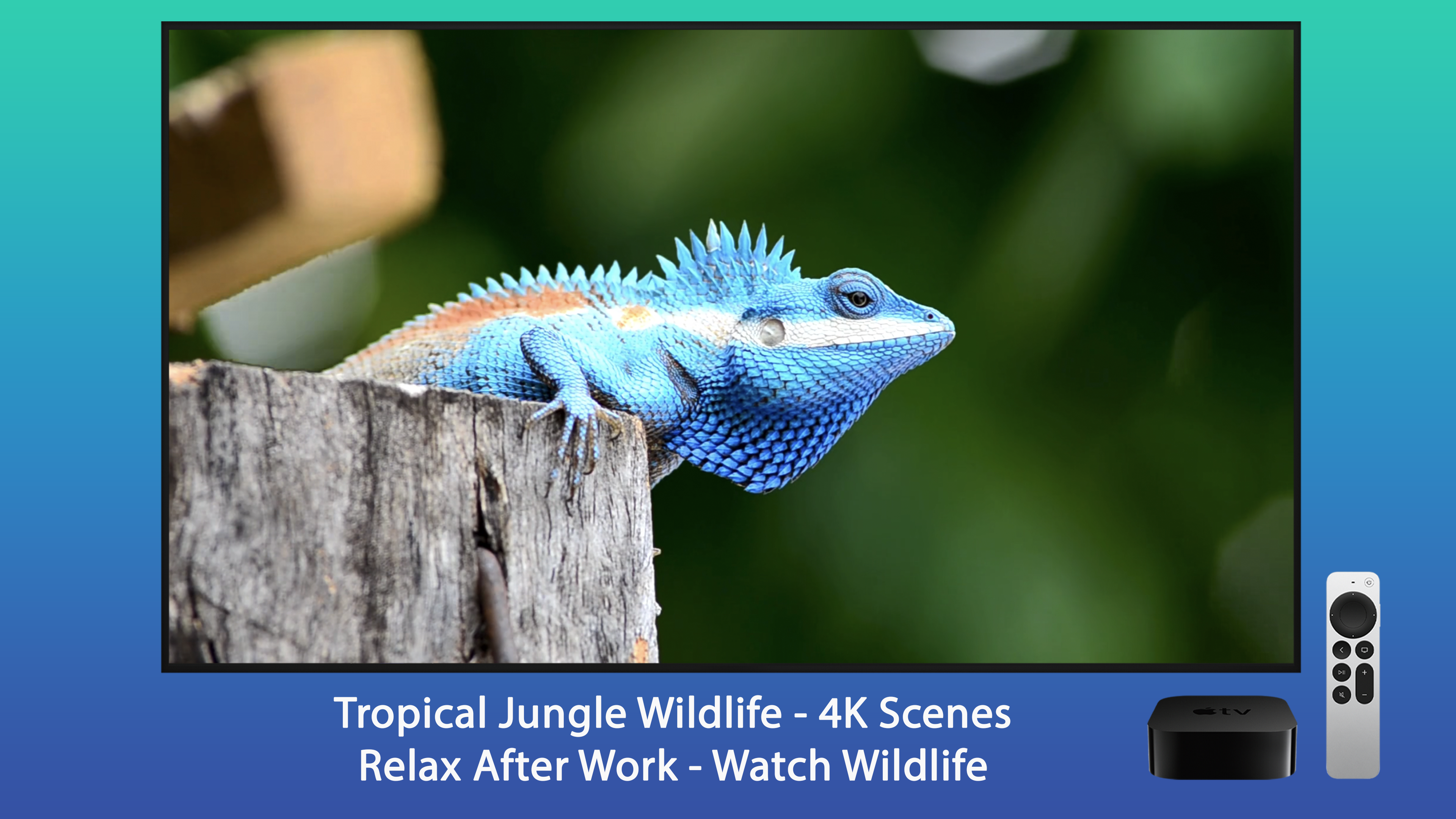 Exotic Animals Apple TV screenshot 8