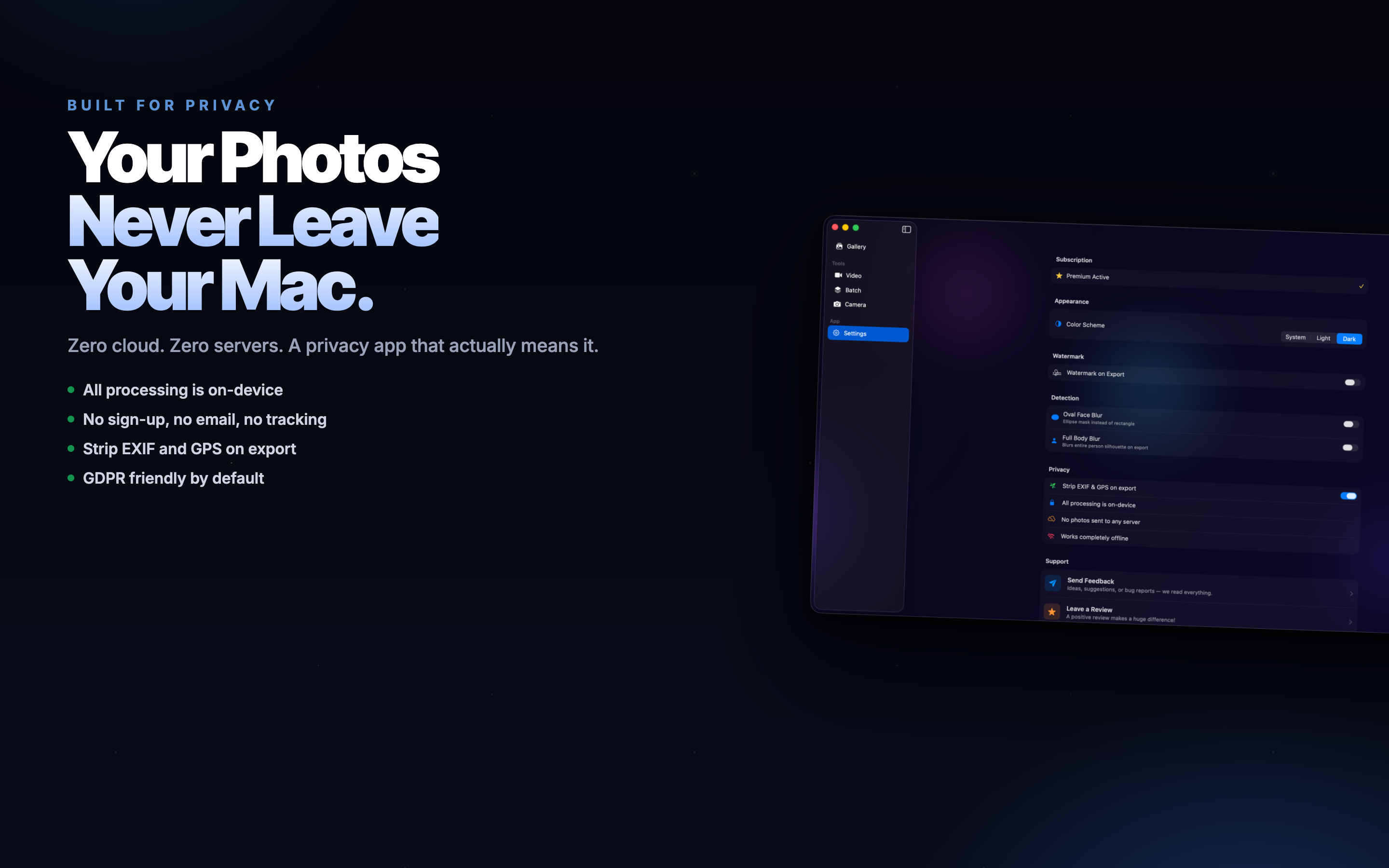 Face Blur AI Mac screenshot 5
