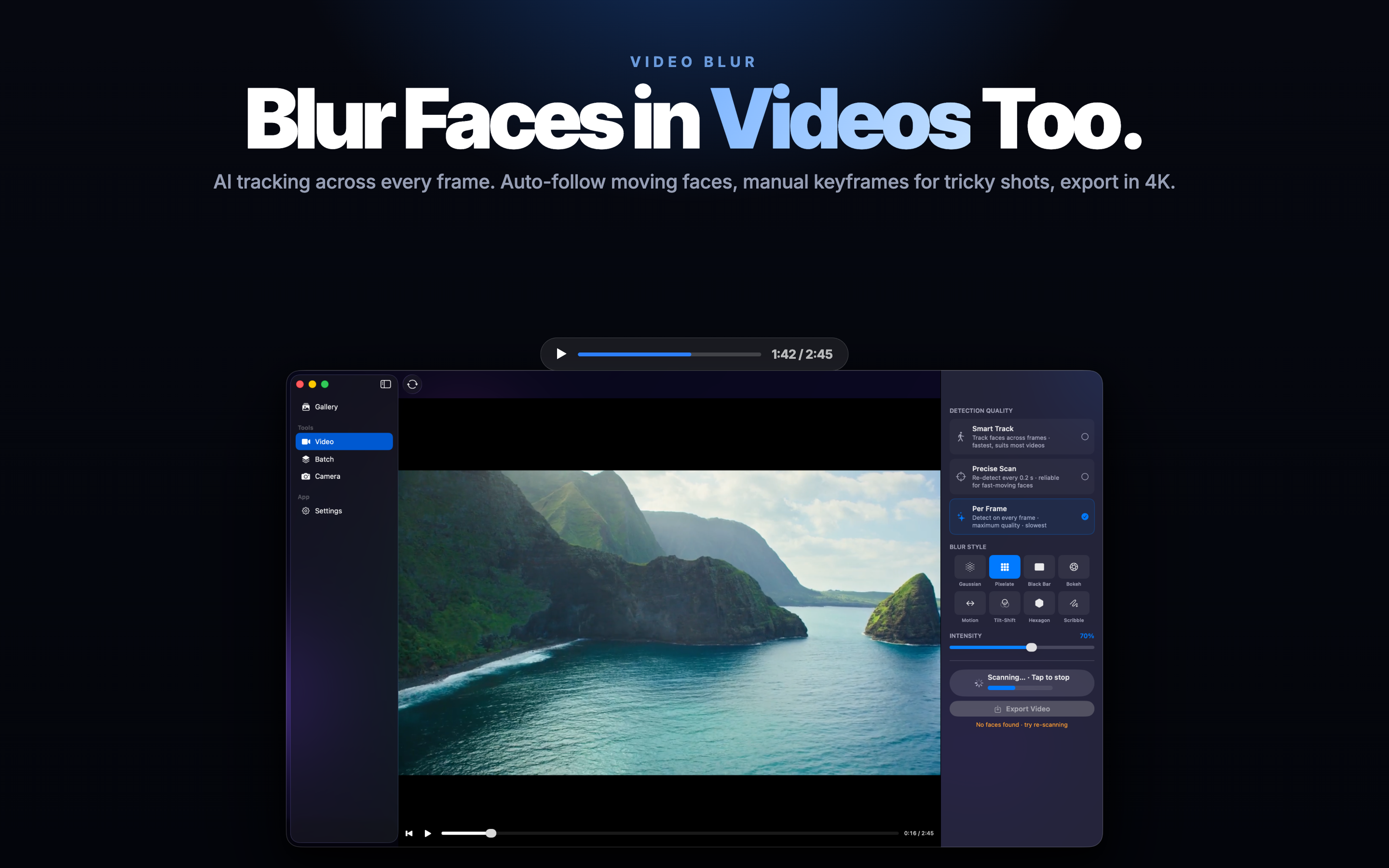 Face Blur AI Mac screenshot 8