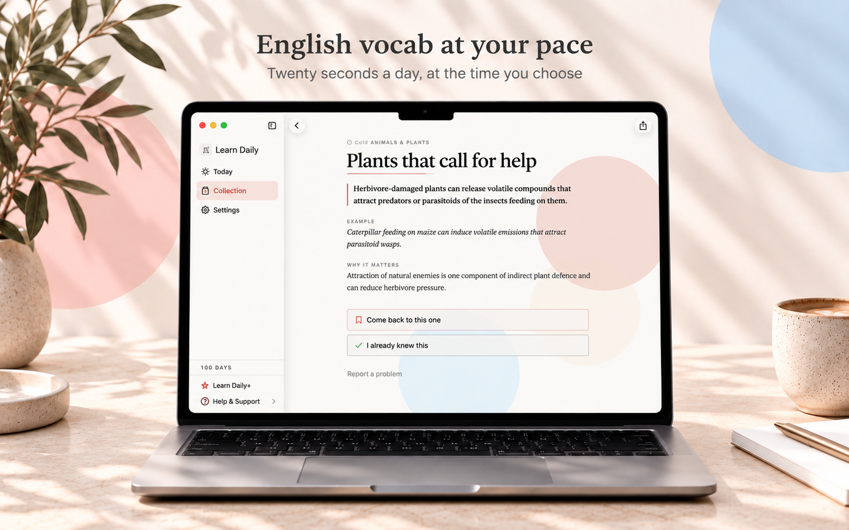 Learn Daily on Mac, screen 8