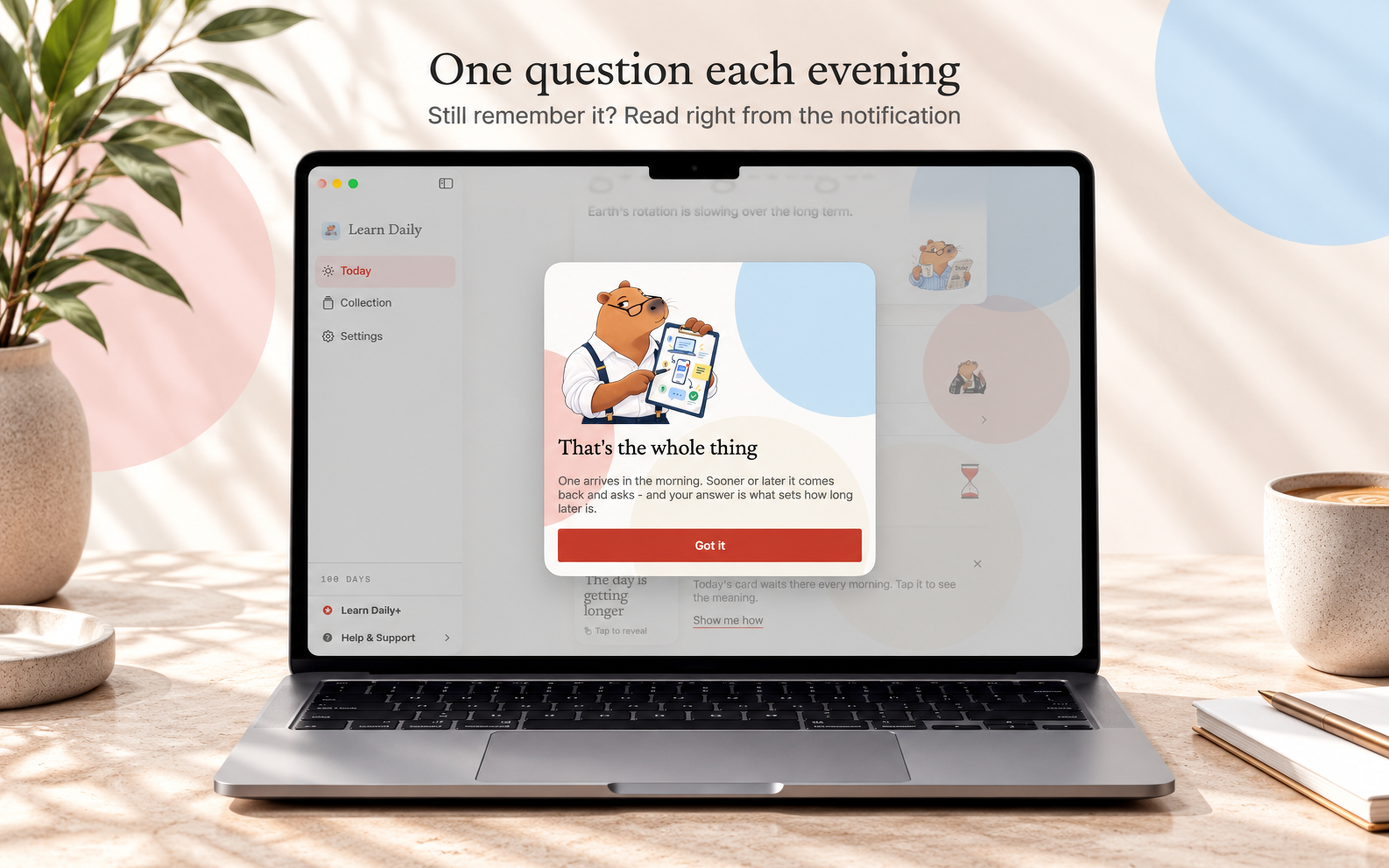 Learn Daily on Mac, screen 9