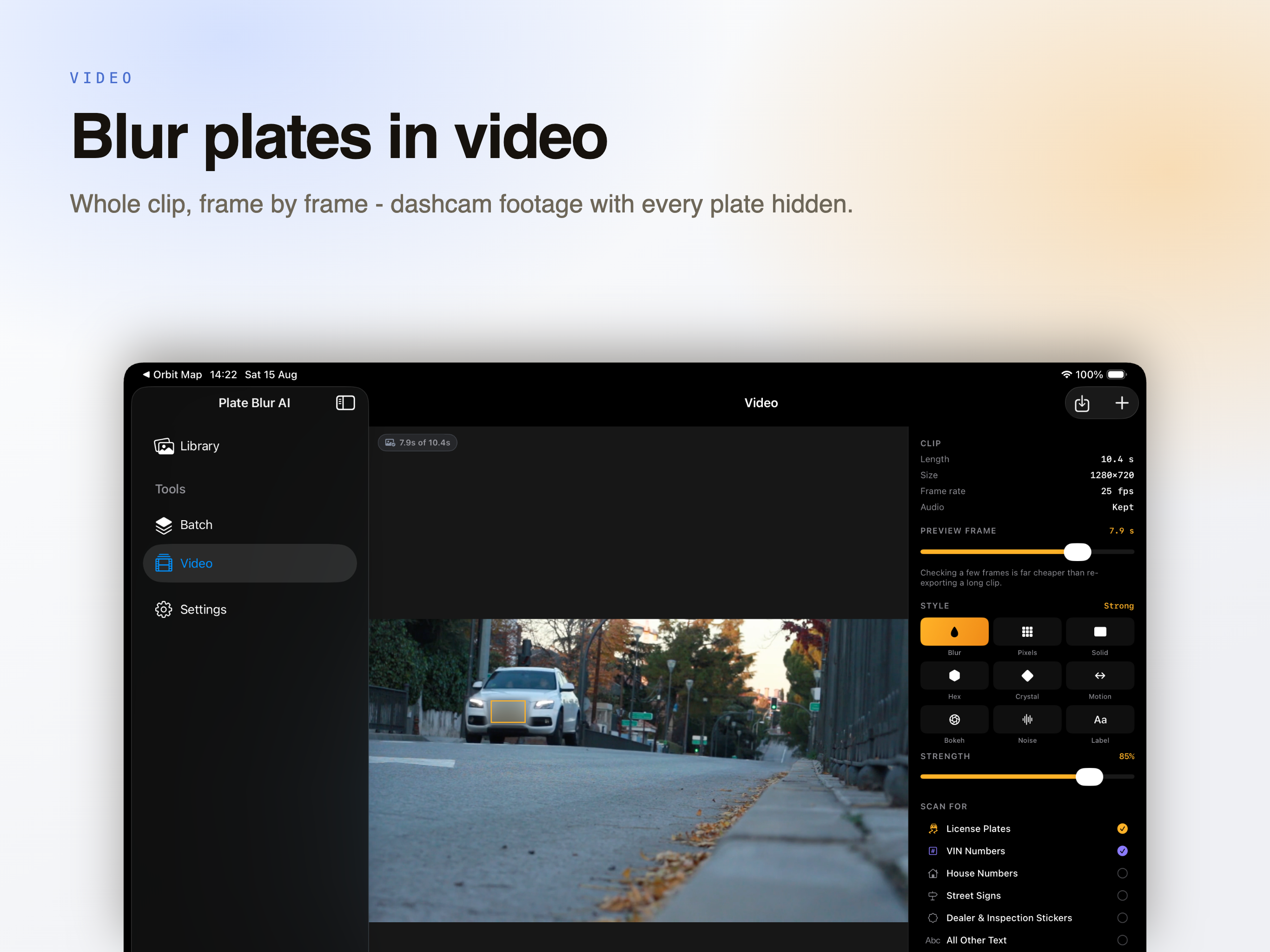 Plate Blur AI on iPad, screen 9