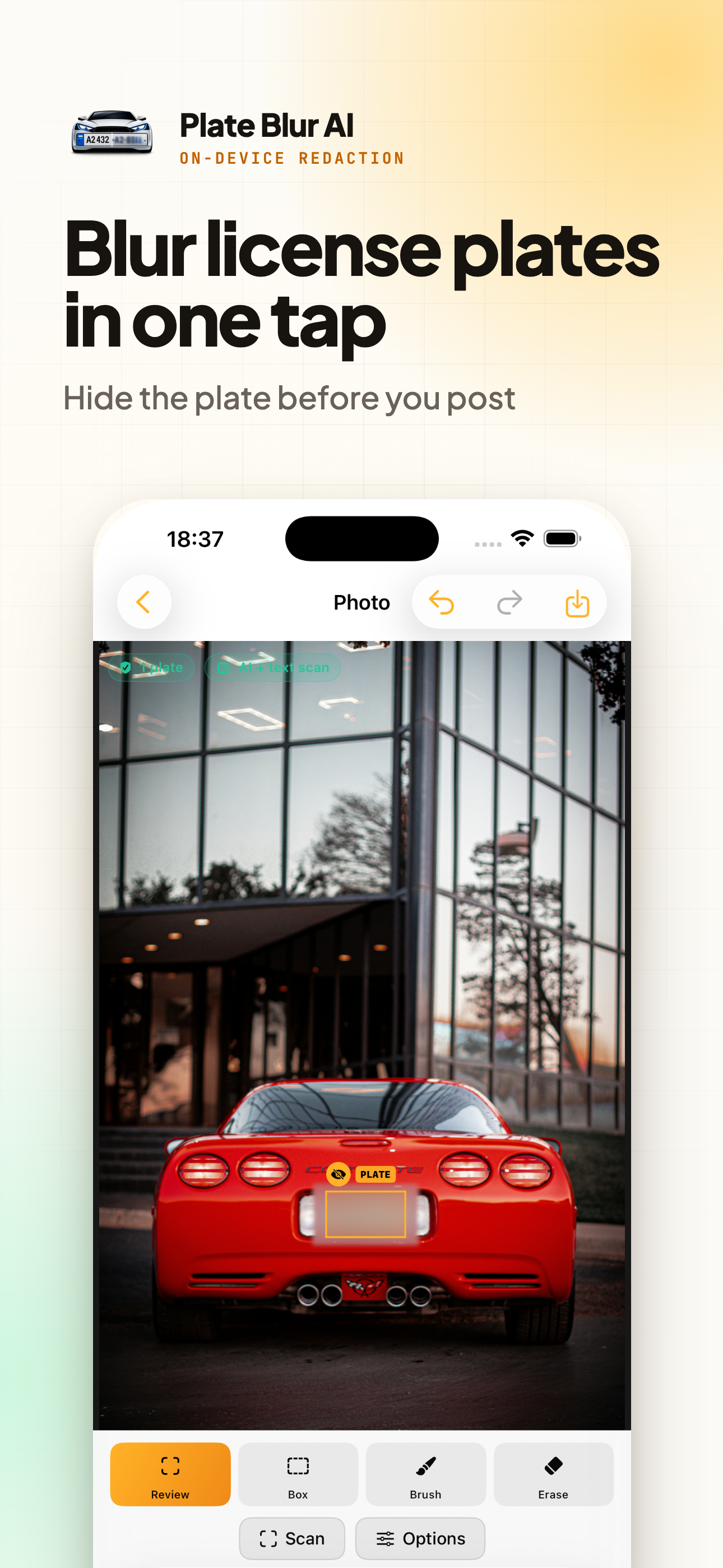 Plate Blur AI on iPhone, screen 1