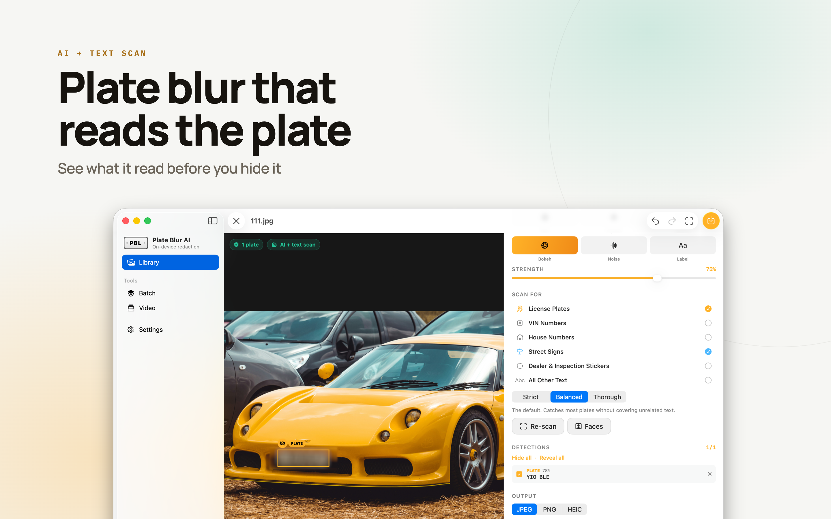 Plate Blur AI on Mac, screen 3