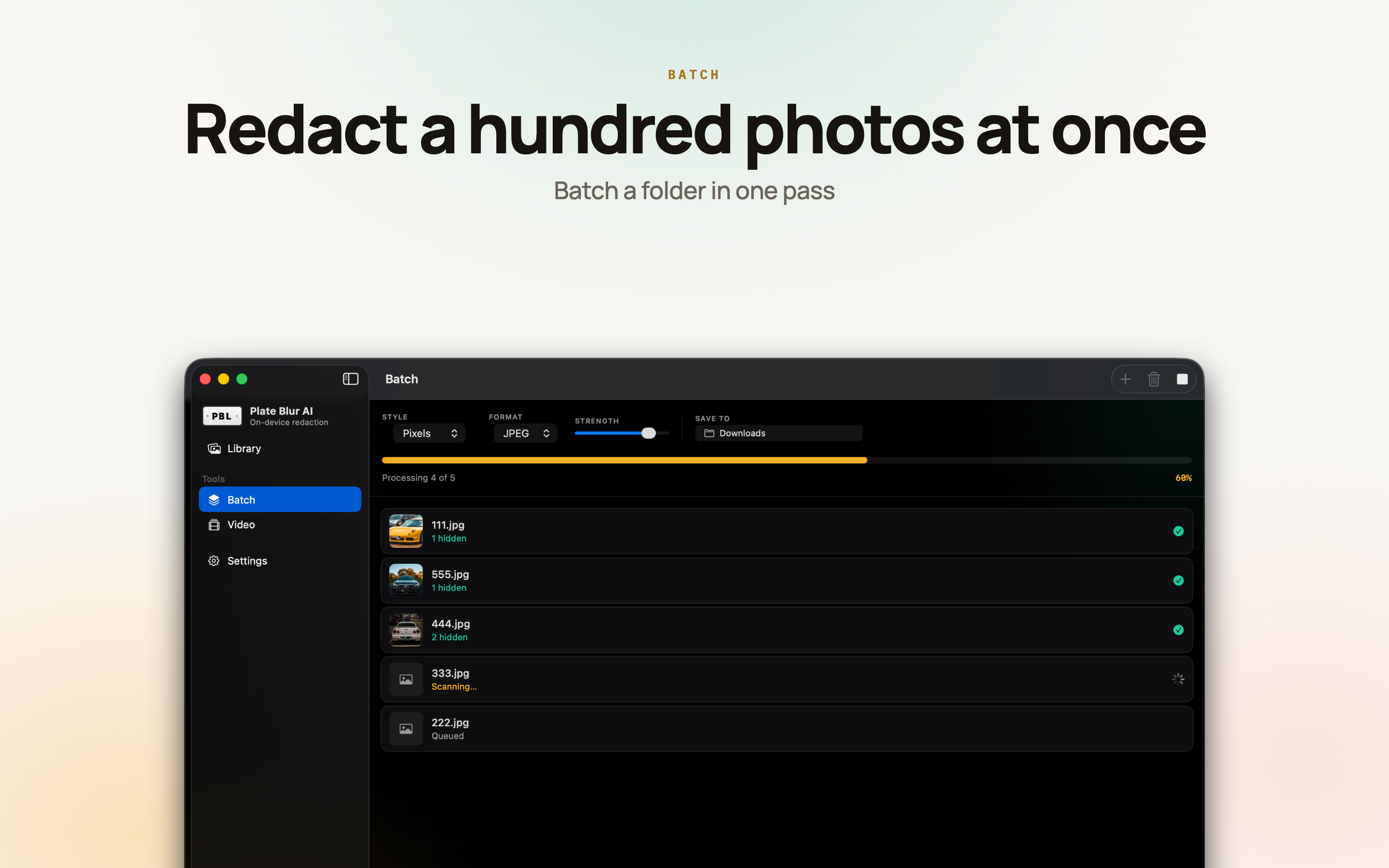 Plate Blur AI on Mac, screen 7
