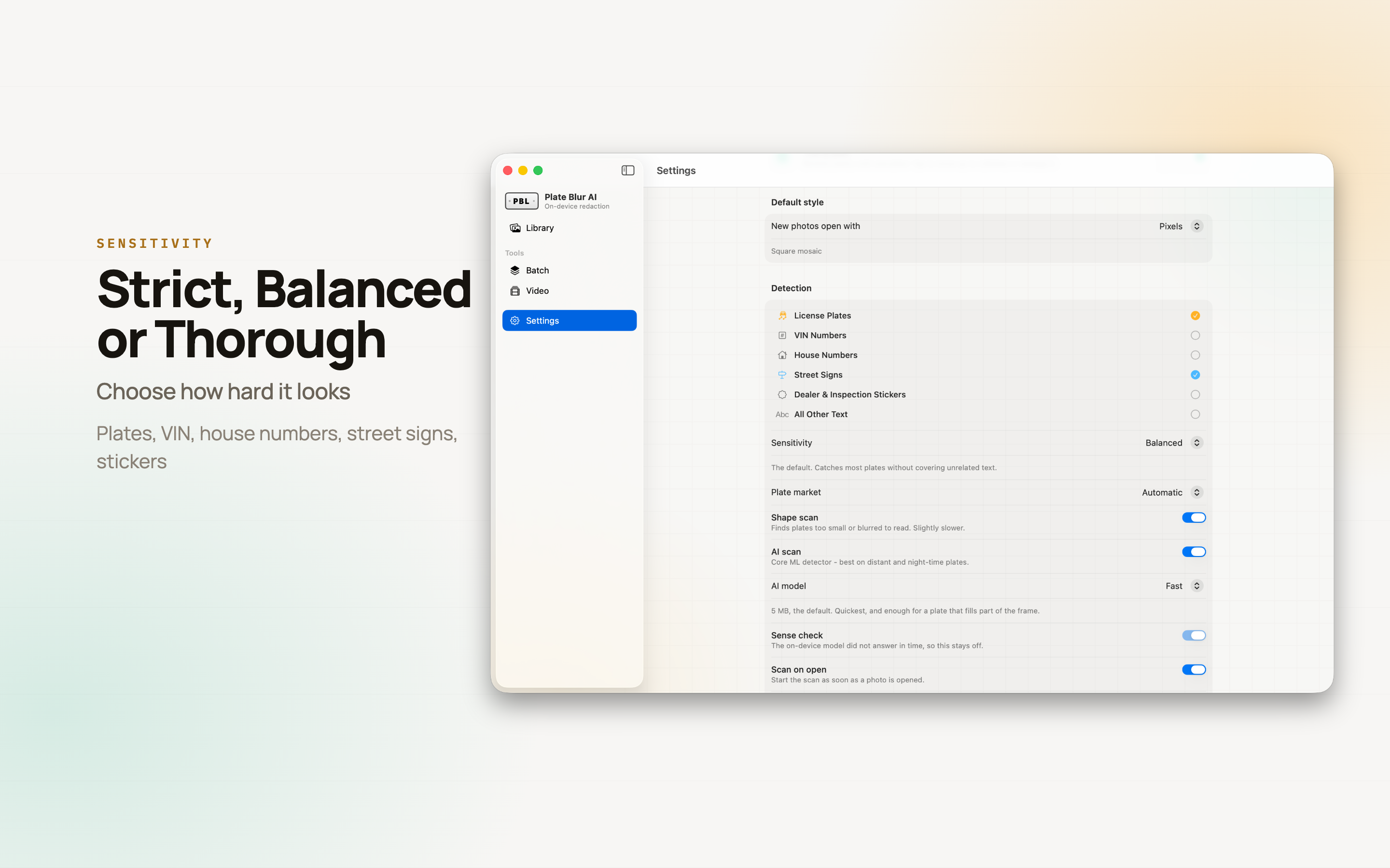 Plate Blur AI on Mac, screen 8