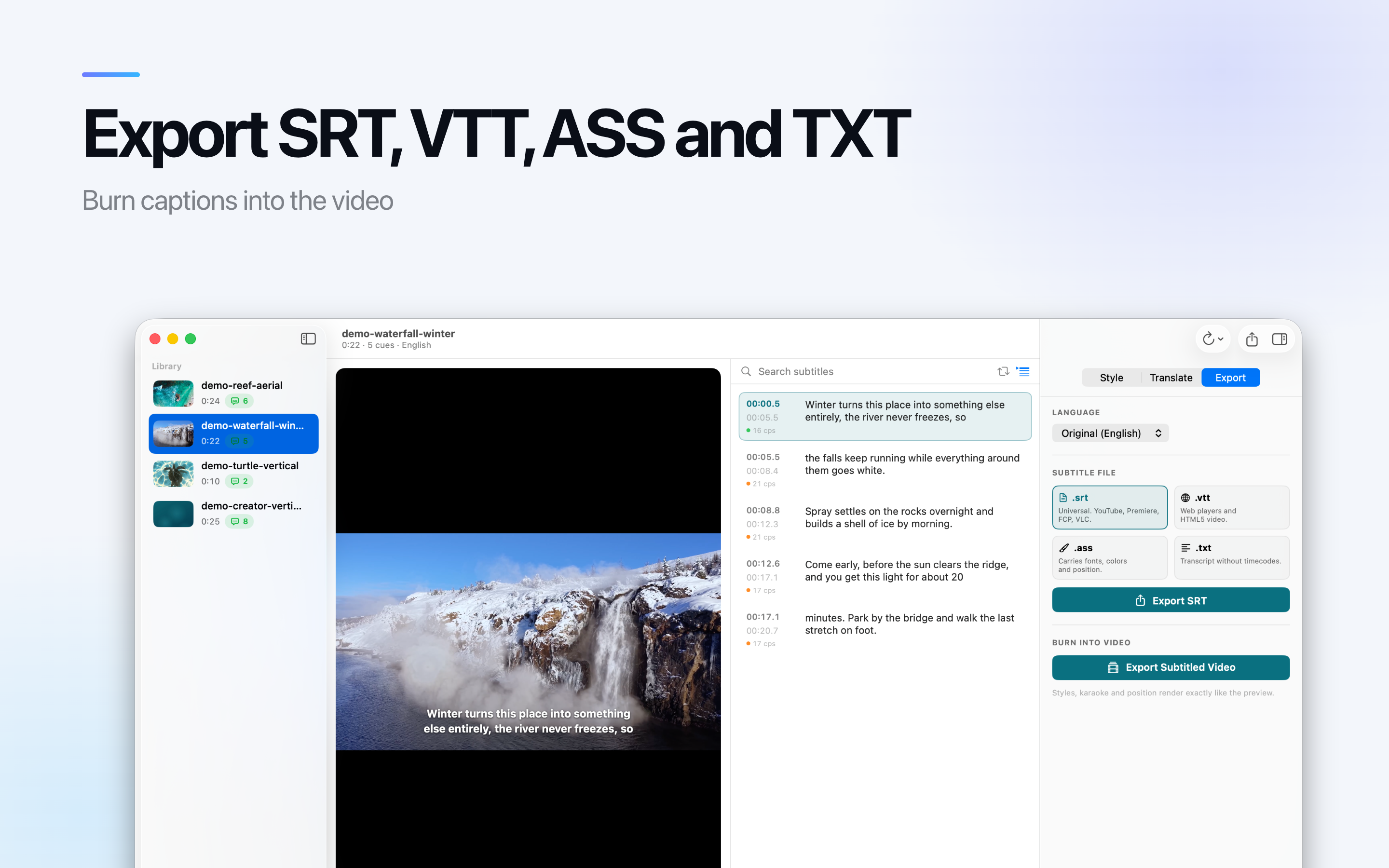 AI Subtitle Generator on Mac, screen 10