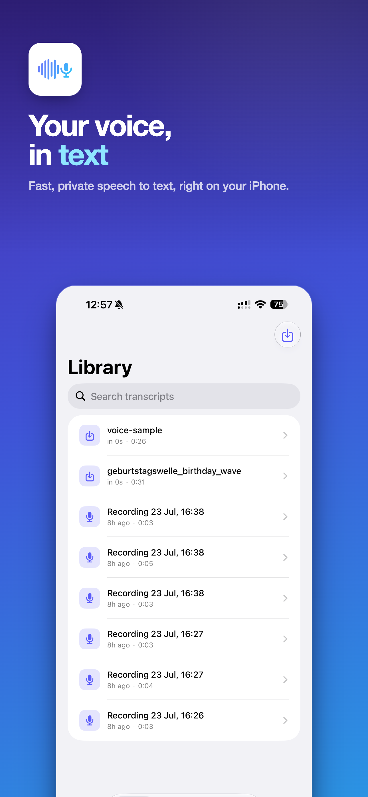 Voice to Text on iPhone, screen 1