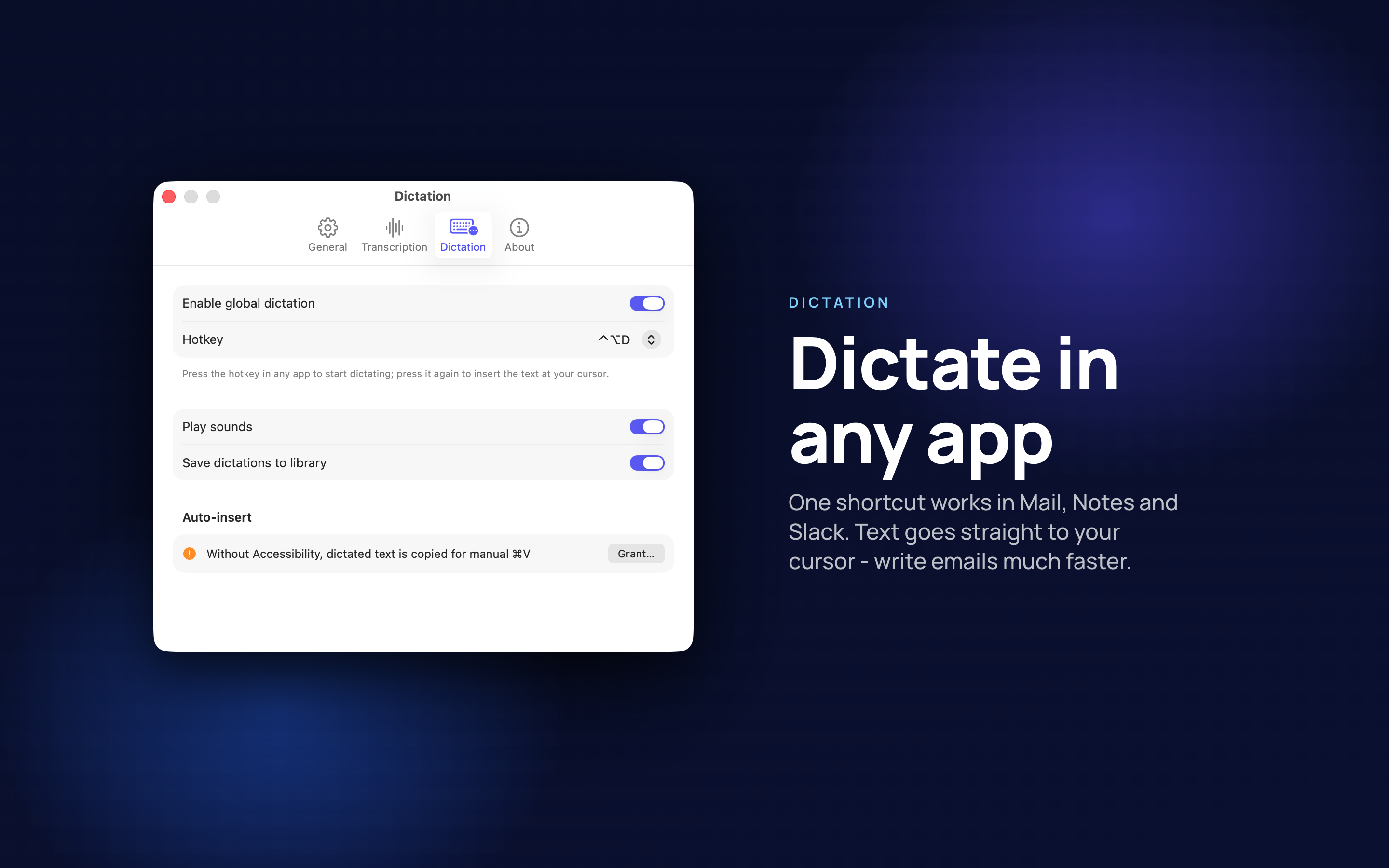Voice to Text on Mac, screen 6